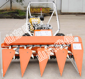 Paddy Reaper Harvester
