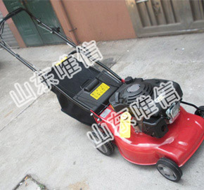 Gasoline Lawn Mower