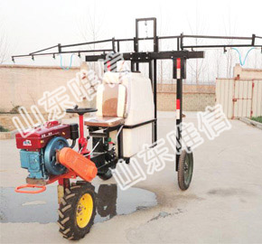 Agricultural Tricycle Fruit Trees Sprayers