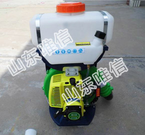 Agriculture Garden Gasoline Powered Knapsack Mist Duster