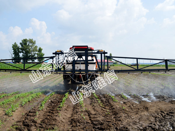 3WC-800 Agricultural Machinery Boom Sprayer
