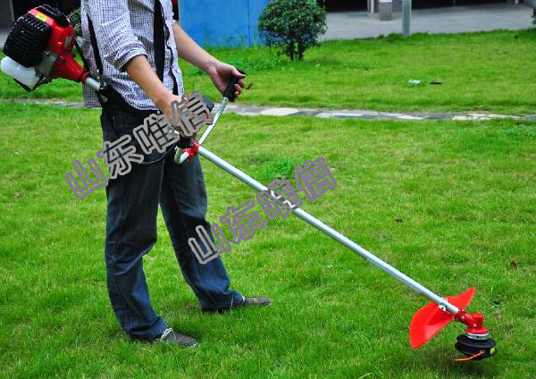 Knapsack Grass Trimmer