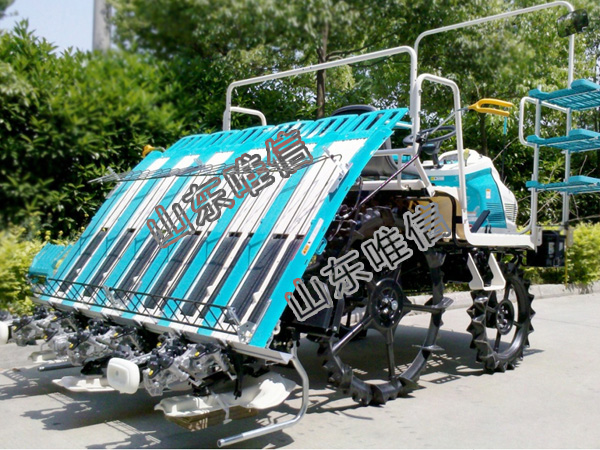 6 Rows Ride On Rice Working Seeding Transplanter