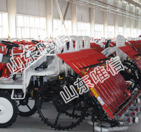 Auto Ride On Rice Paddy Transplanter