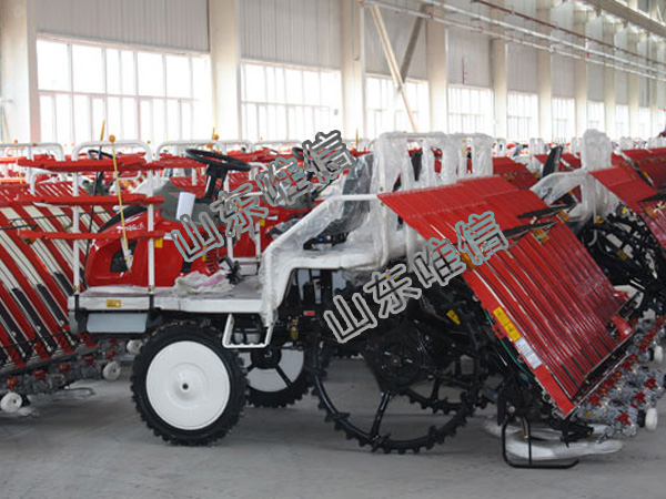 Auto Ride On Rice Paddy Transplanter