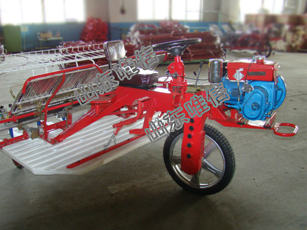 Auto Ride On Rice Paddy Transplanter