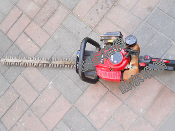 Gas Petrol Powered Chain Saw Machine
