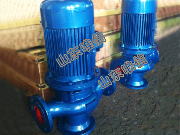 GW Pump Pipes Type Sludge Pump