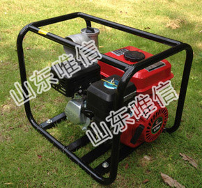 3 Inch Agricultural Irrigation Gasoline Water Pump