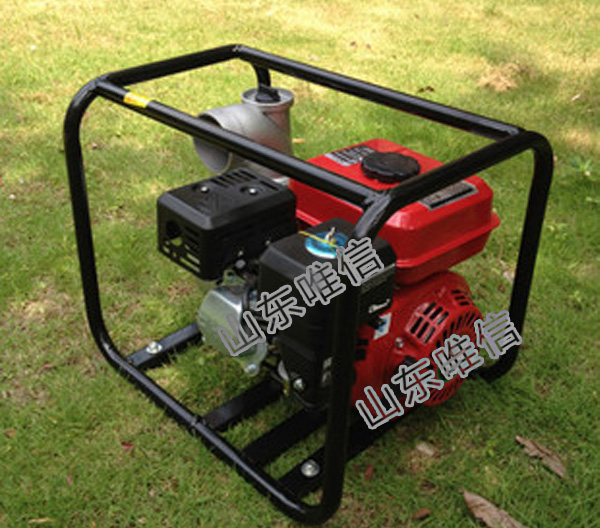 3 Inch Agricultural Irrigation Gasoline Water Pump