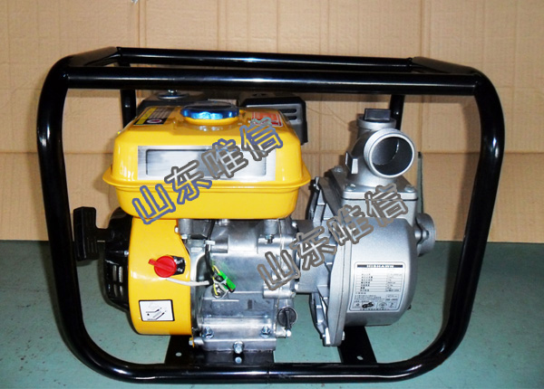 3 Inch Agricultural Irrigation Gasoline Water Pump