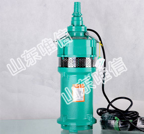 QS Series Agricultural Submersible Irrigation Pumps