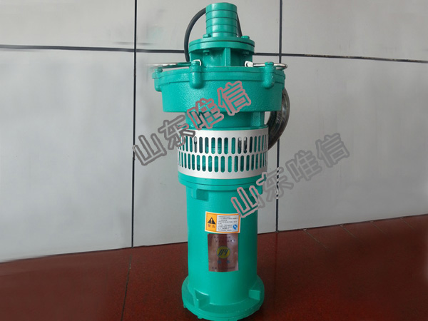 QS Series Agricultural Submersible Irrigation Pumps