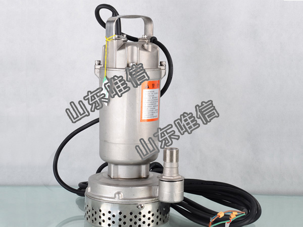 Agricultural Stainless Steel Irrigation Submersible Sump 