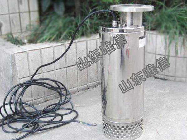 Agricultural Stainless Steel Irrigation Submersible Sump 