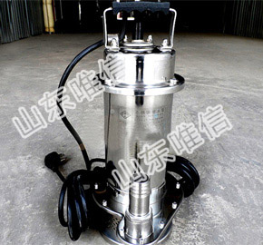 Small Stainless Steel Electric Submersible Water Pump