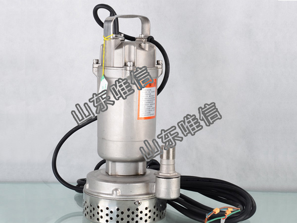 Small Stainless Steel Electric Submersible Water Pump