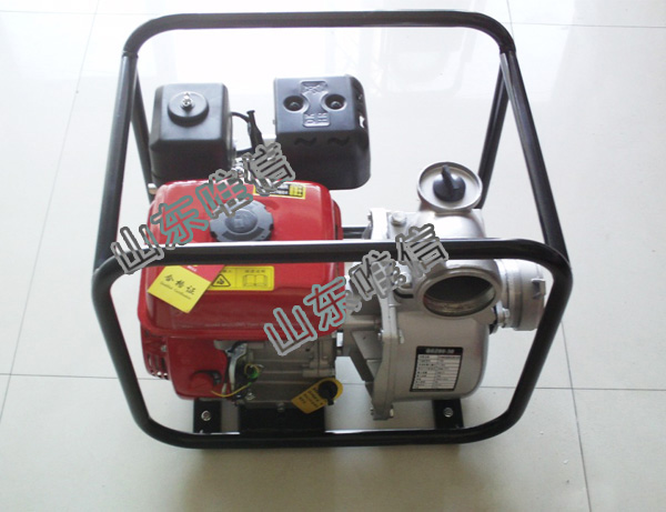 Wp-20 5.5HP Gasoline Motor Agricultural Irrigation Water Pump
