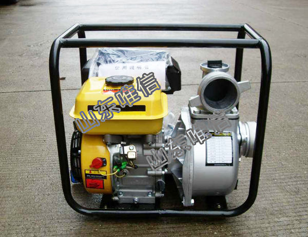 Wp-20 5.5HP Gasoline Motor Agricultural Irrigation Water Pump