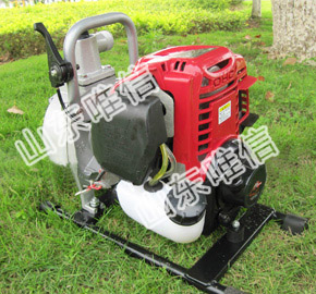 WP-10 Gasoline Power Water Pump