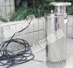 QWP Stainless Steel Sewage Submersible Pump