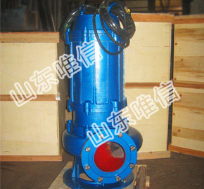Submersible No Clogging Sewage Pump