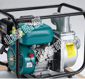 Drought Resisting Diesel Engine Fire Water Pump