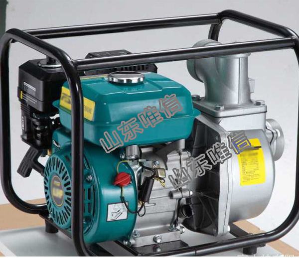 Drought Resisting Diesel Engine Fire Water Pump