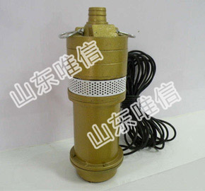 12V Portable Submersible Mini Water Pump