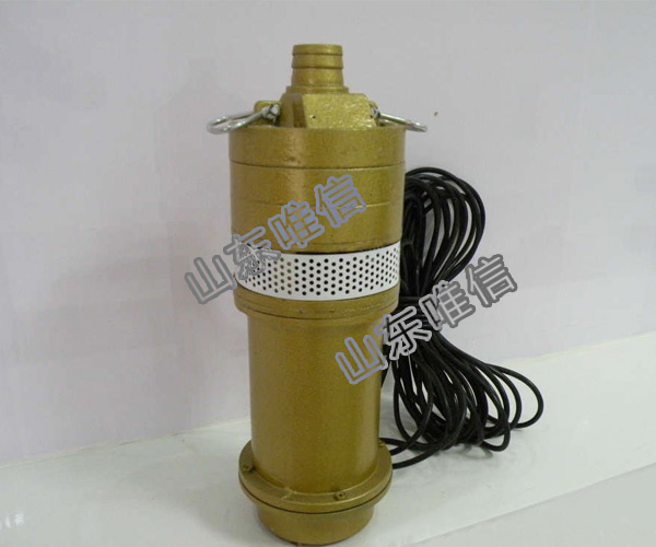 12V Portable Submersible Mini Water Pump