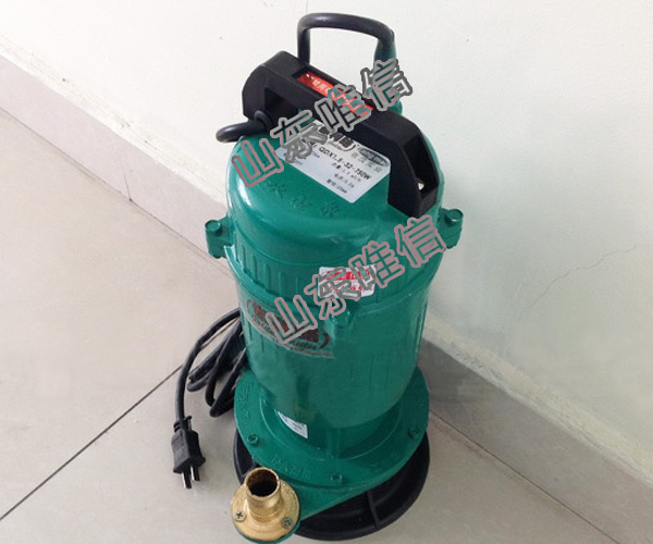 12V Portable Submersible Mini Water Pump