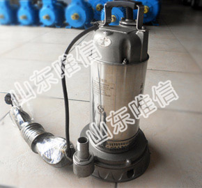 Stainless Steel Submersible Sea Water Pump