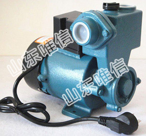 Protable 220V Self-Priming Pump CH8011