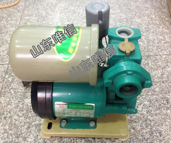 Protable 220V Self-Priming Pump CH8011