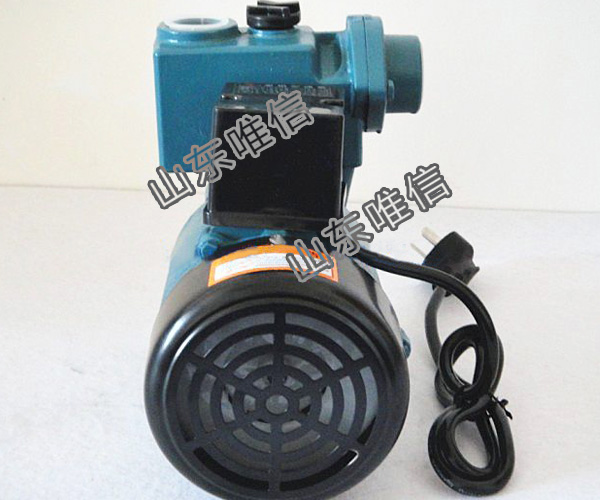 Protable 220V Self-Priming Pump CH8011