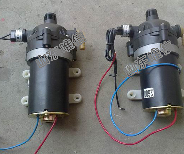 DC Mini Auto High Pressure Diaphragm Pump