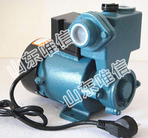 Smart Numerical Control Self-priming Pump