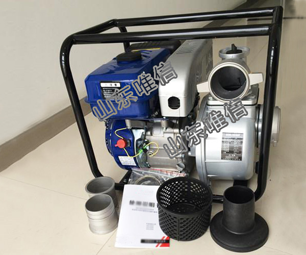 2 Inch Robin Type Gasoline Water Pump 