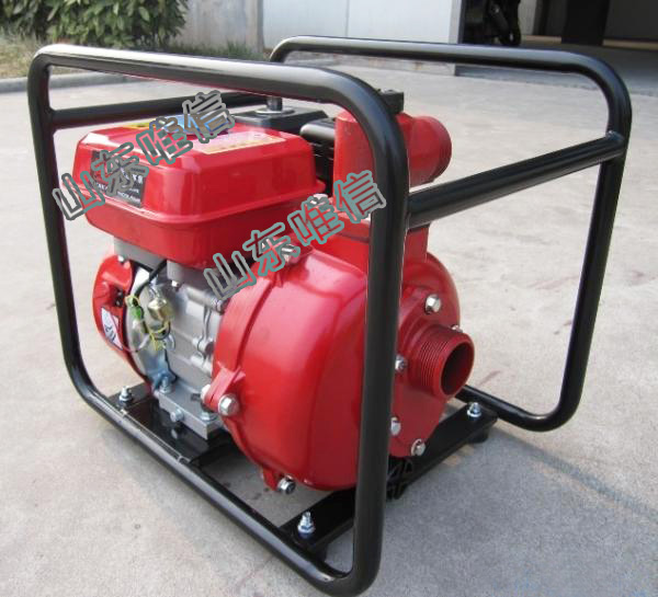 Gasoline Water Pump Unit