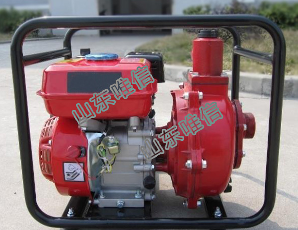 Gasoline Water Pump Unit