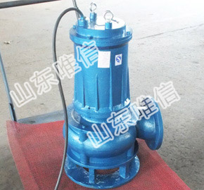 WQD 6-12 Stainless Steel Sewage Pump Submersible Pump