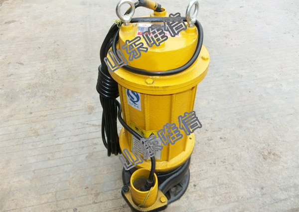 BQS Explosion- proof Portable Submersible Pump