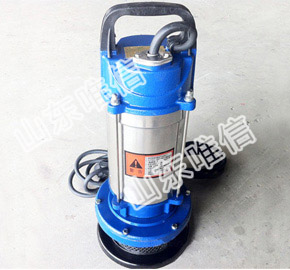 BQS Explosion- proof Portable Submersible Pump