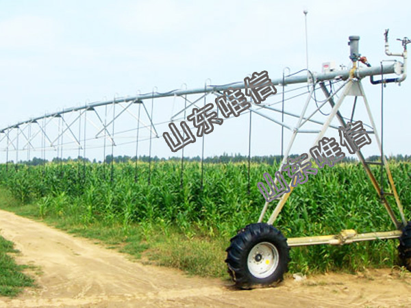 Linear irrigation System with Tower Box