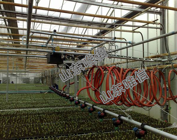 Mobile Sprinkler Irrigation System In The Greenhouse