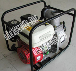 Agricultural Irrigation 2 Stroke Air-Cooled Water Pump