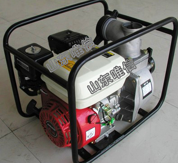 Agricultural Irrigation 2 Stroke Air-Cooled Water Pump