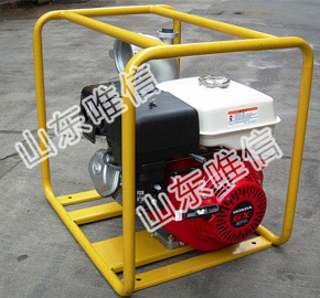 Agricultural Irrigation 4 Inch Diesel Water Pump