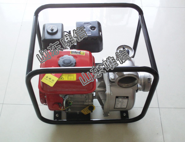 Agricultural Irrigation 4 Inch Diesel Water Pump