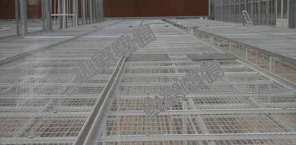 Greenhouse Seedbed Customized